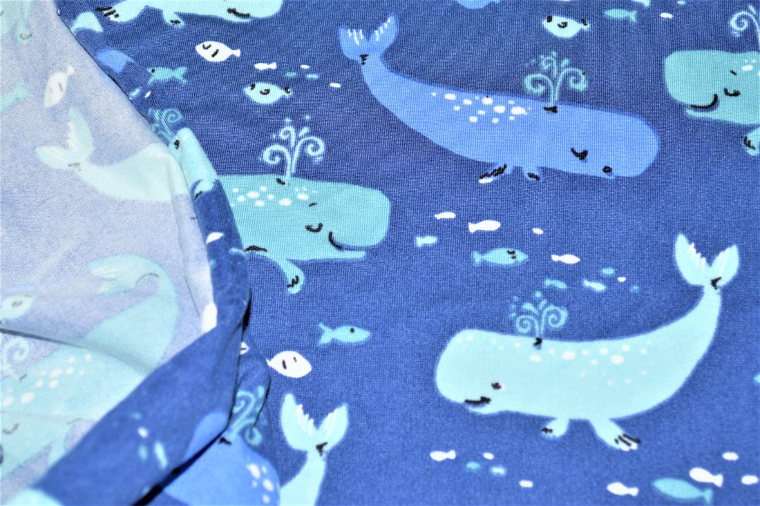 Whales - image 7