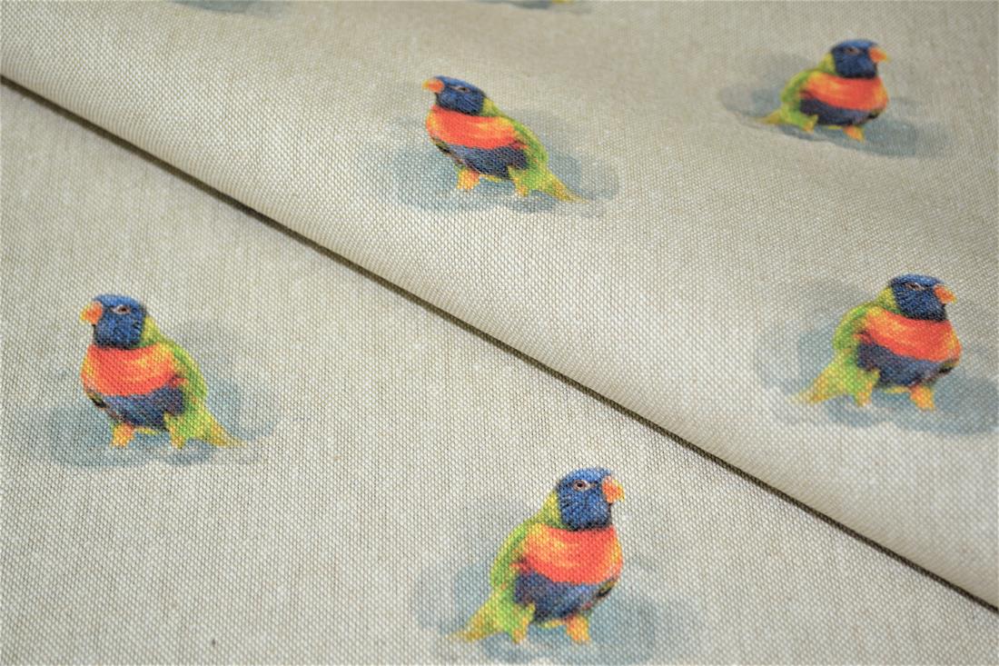 Bird - image 1