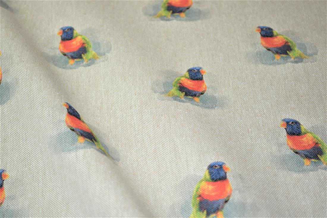 Bird - image 2