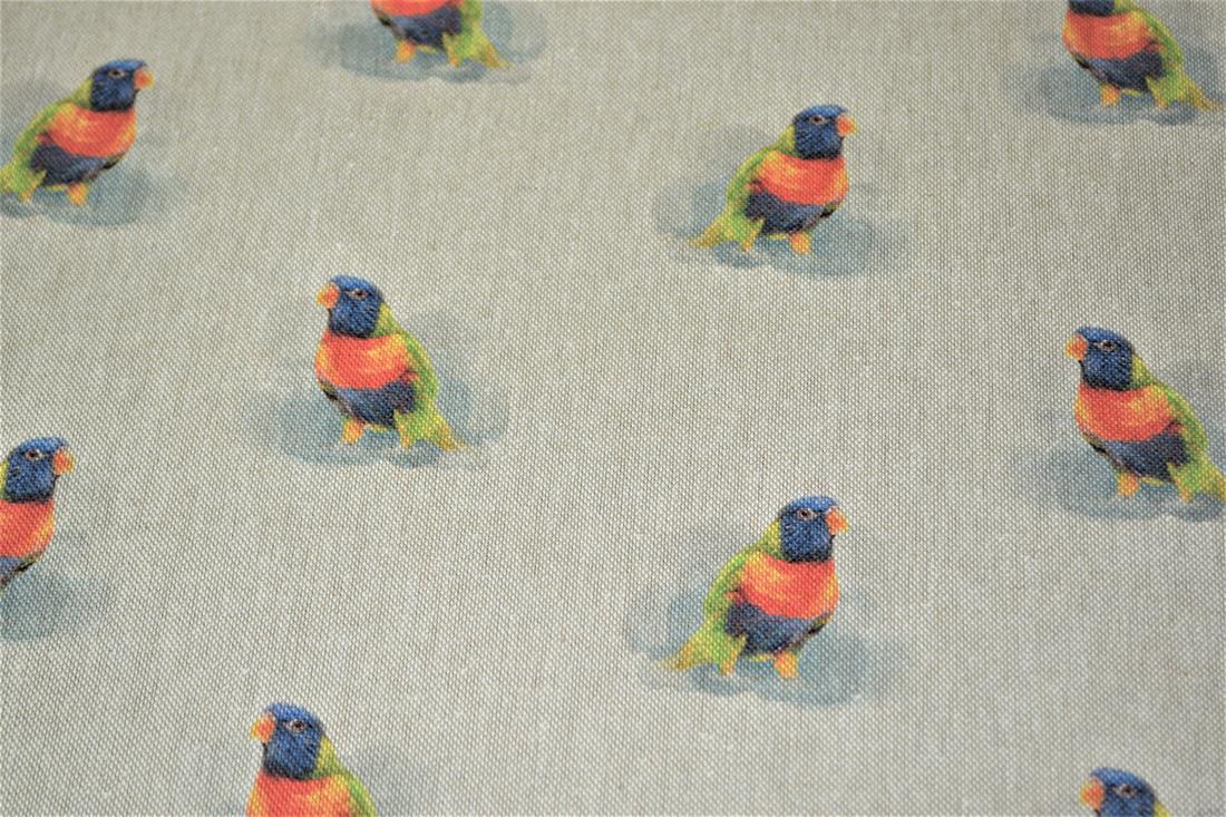 Bird - image 3