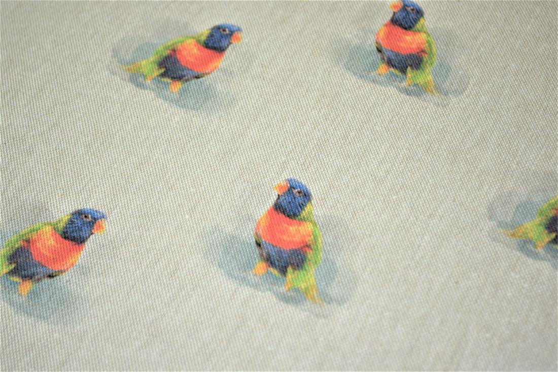 Bird - image 4