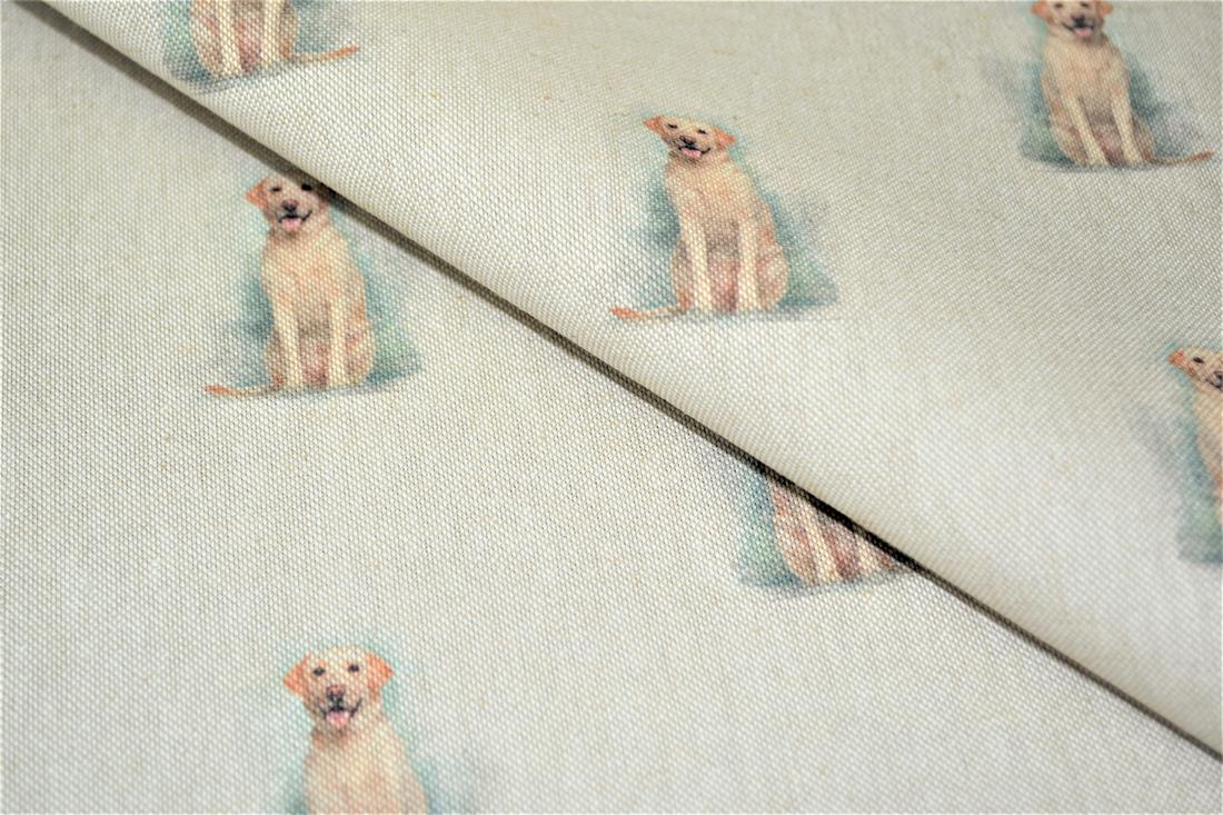 Golden Retriever - image 1