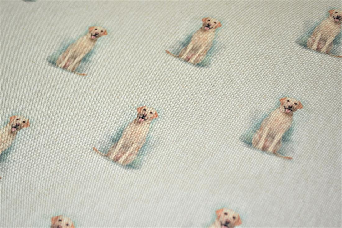 Golden Retriever - image 2