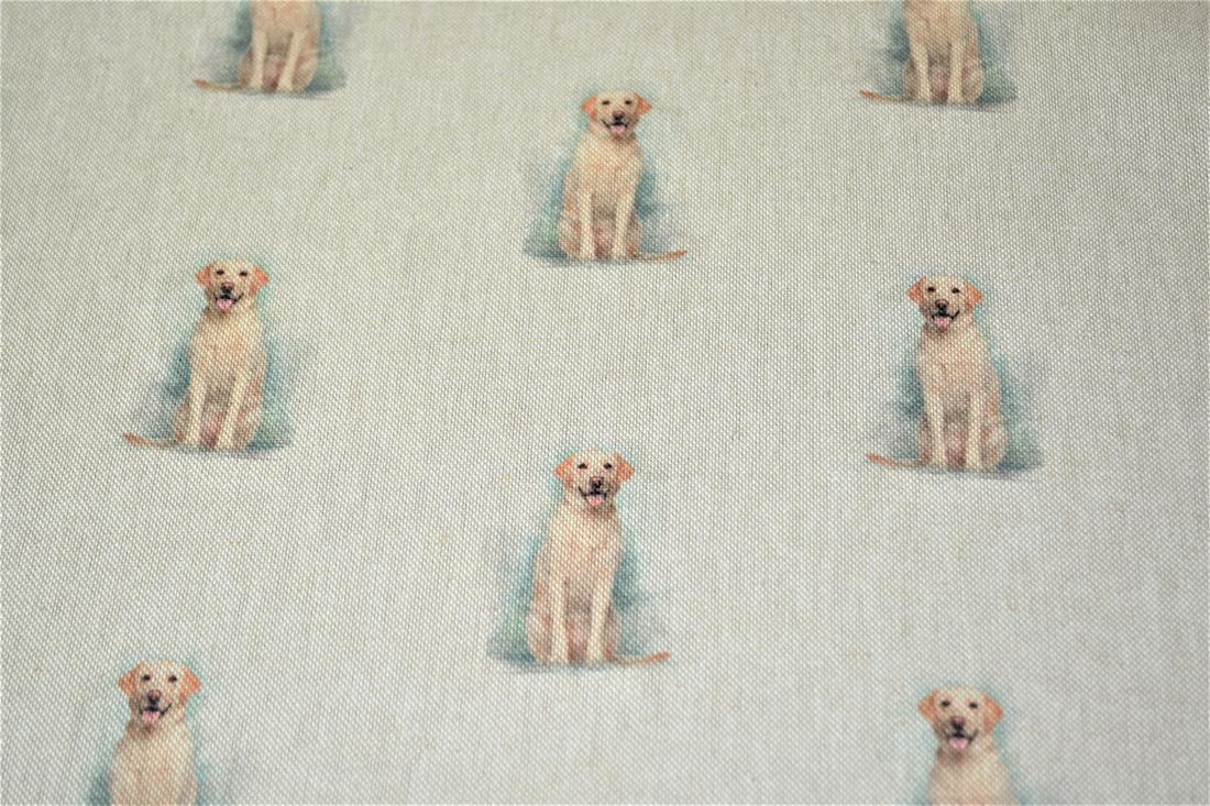 Golden Retriever - image 3