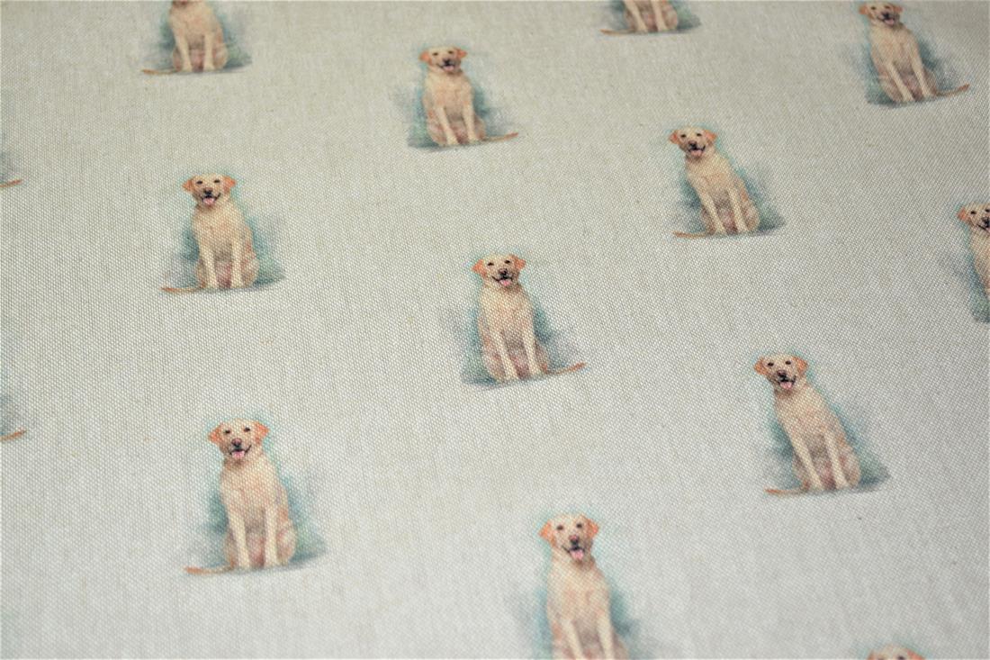 Golden Retriever - image 4