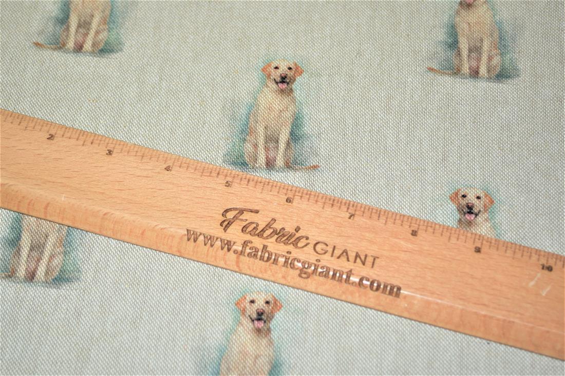 Golden Retriever - image 6