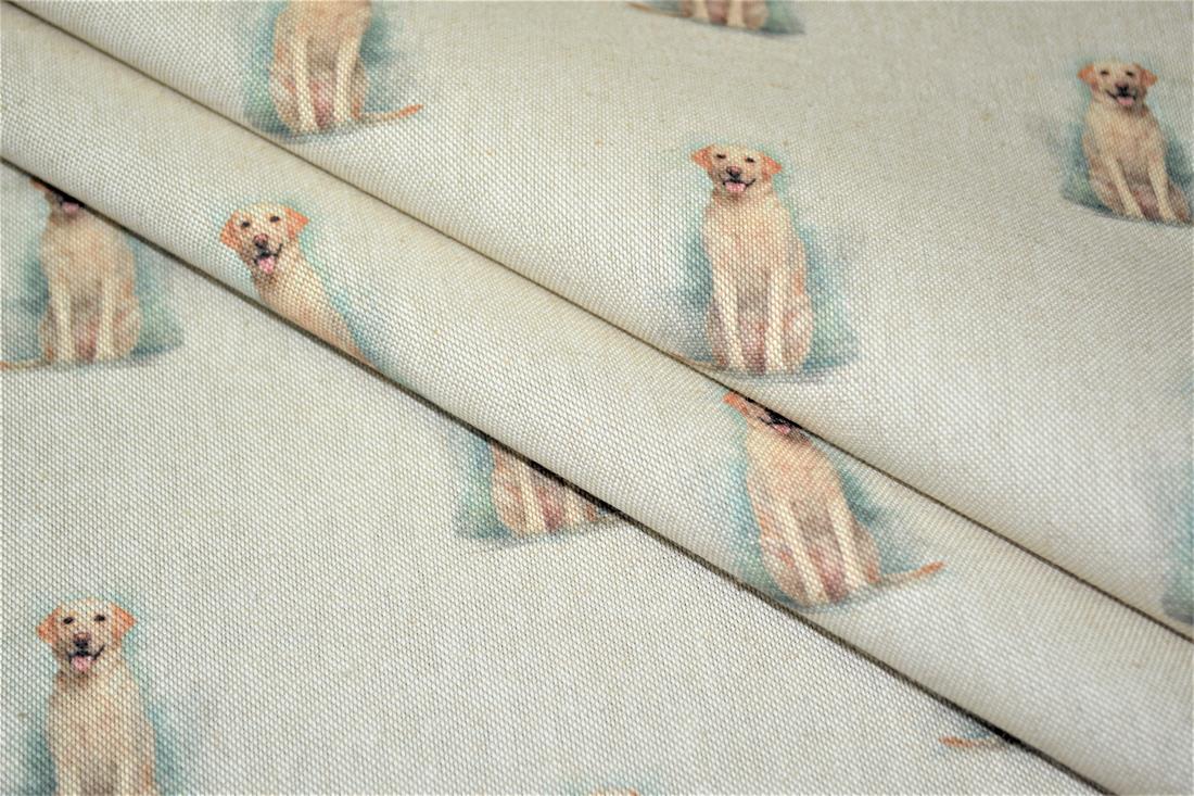Golden Retriever - image 7