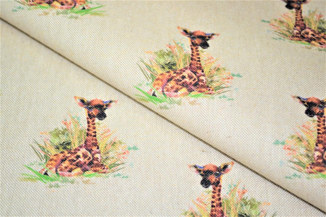 Baby Giraffe - image 1
