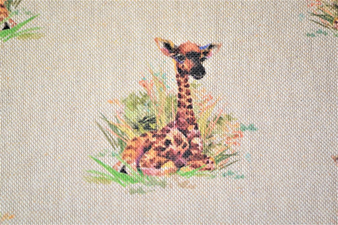 Baby Giraffe - image 3
