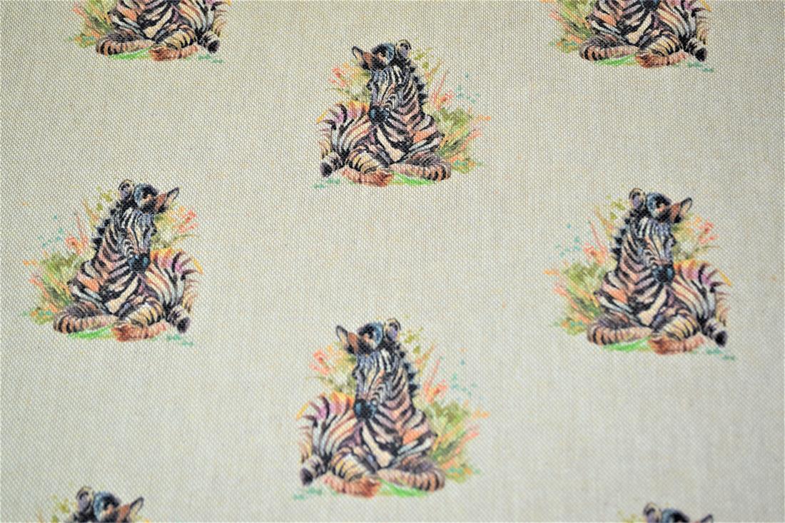 Baby Zebra - image 3