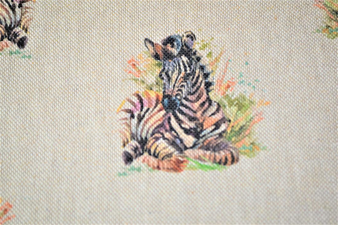 Baby Zebra - image 5
