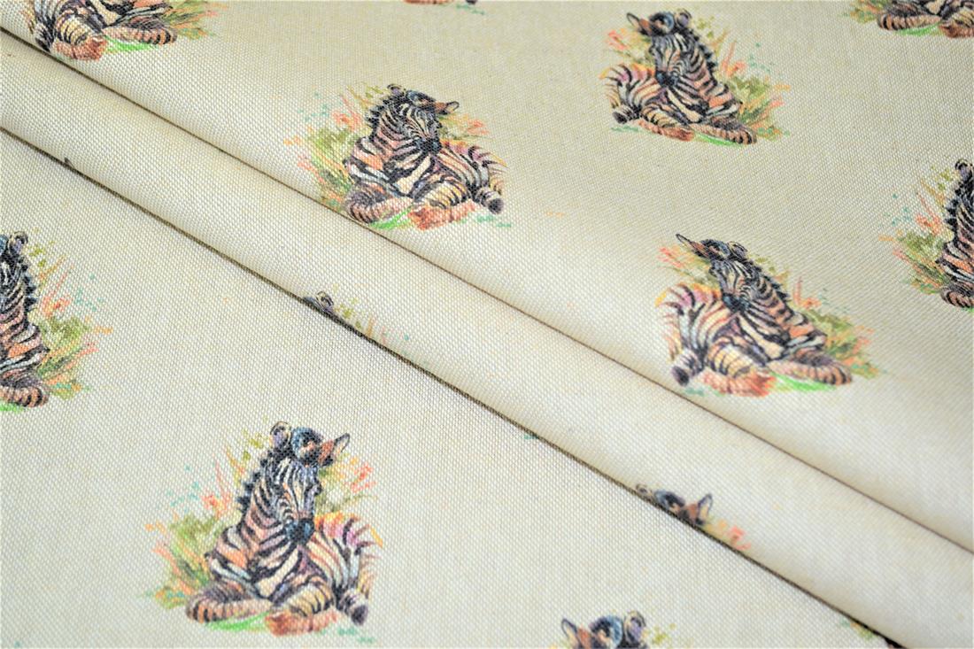 Baby Zebra - image 7