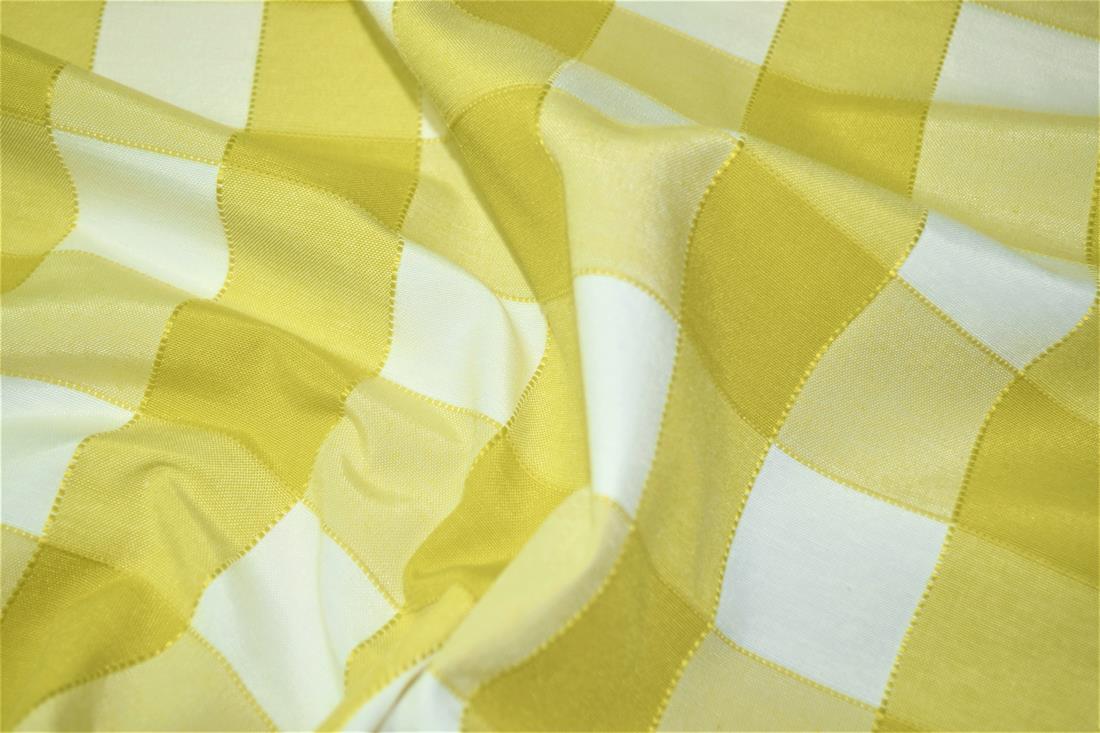 Gingham Canvas - image 12