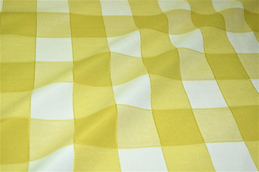 Gingham Canvas - image 2