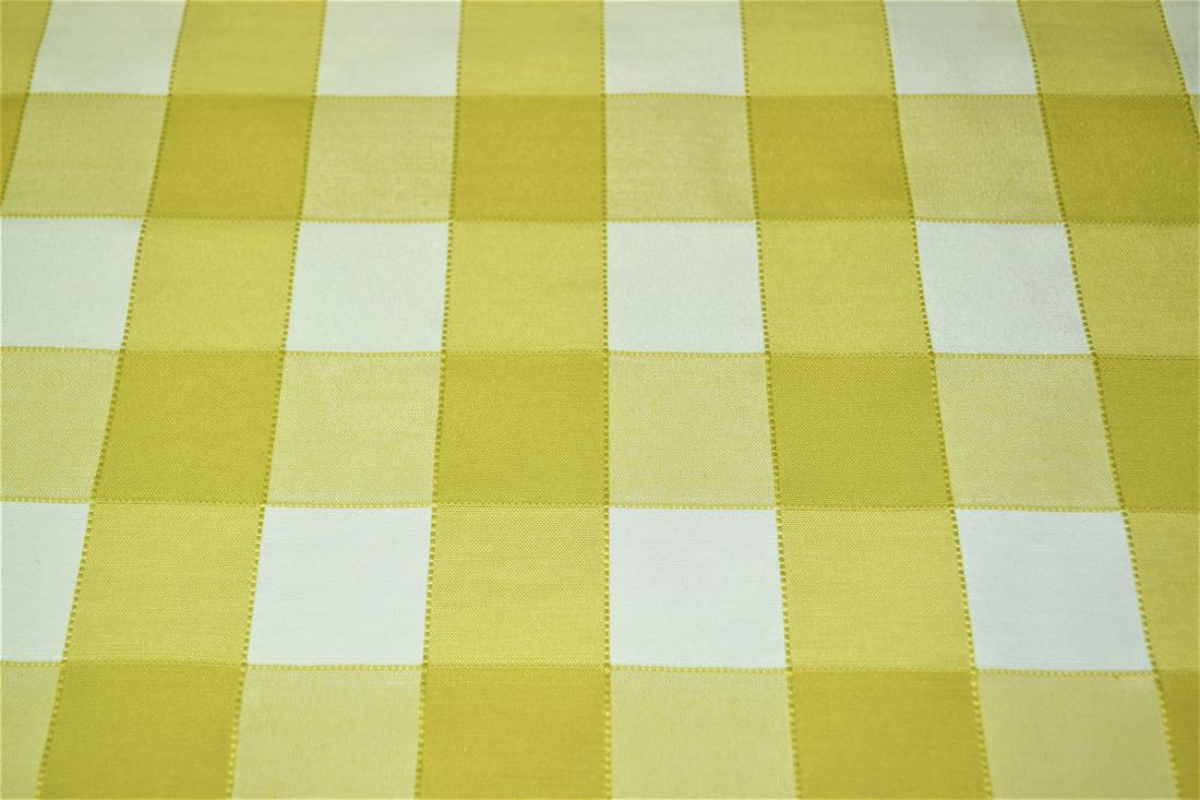 Gingham Canvas - image 3