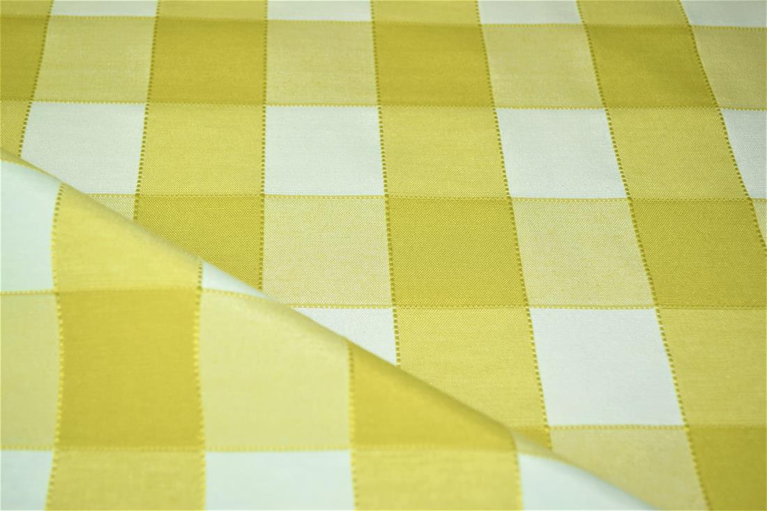 Gingham Canvas - image 7
