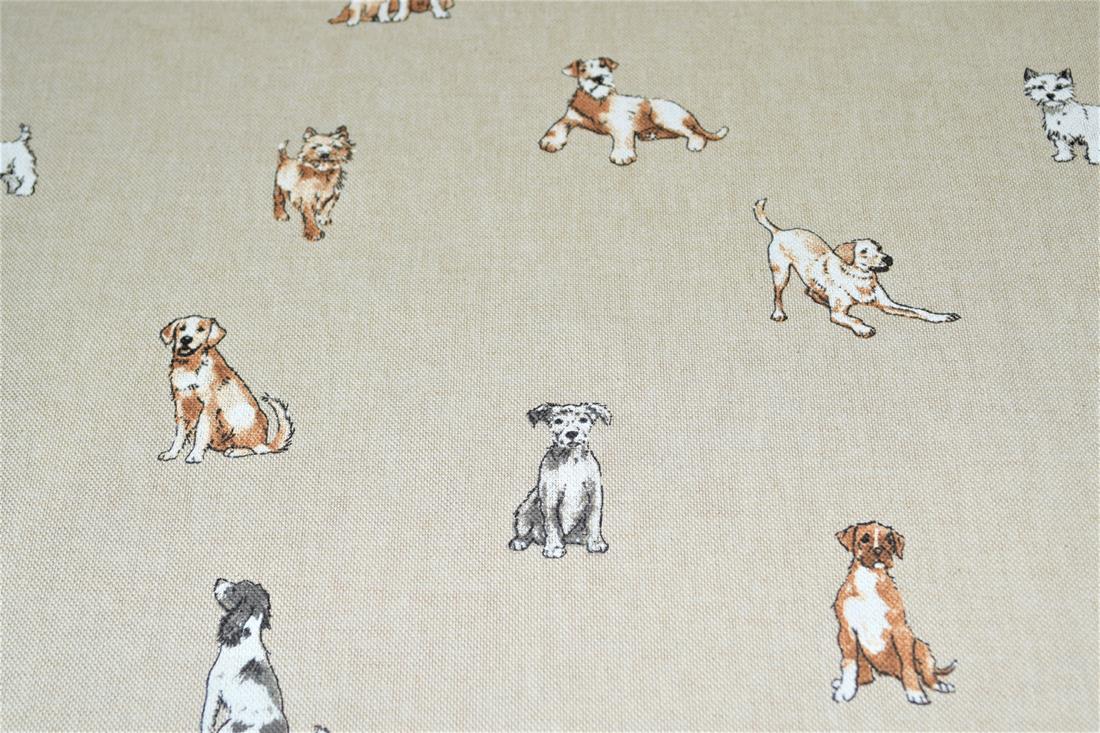 Dogs