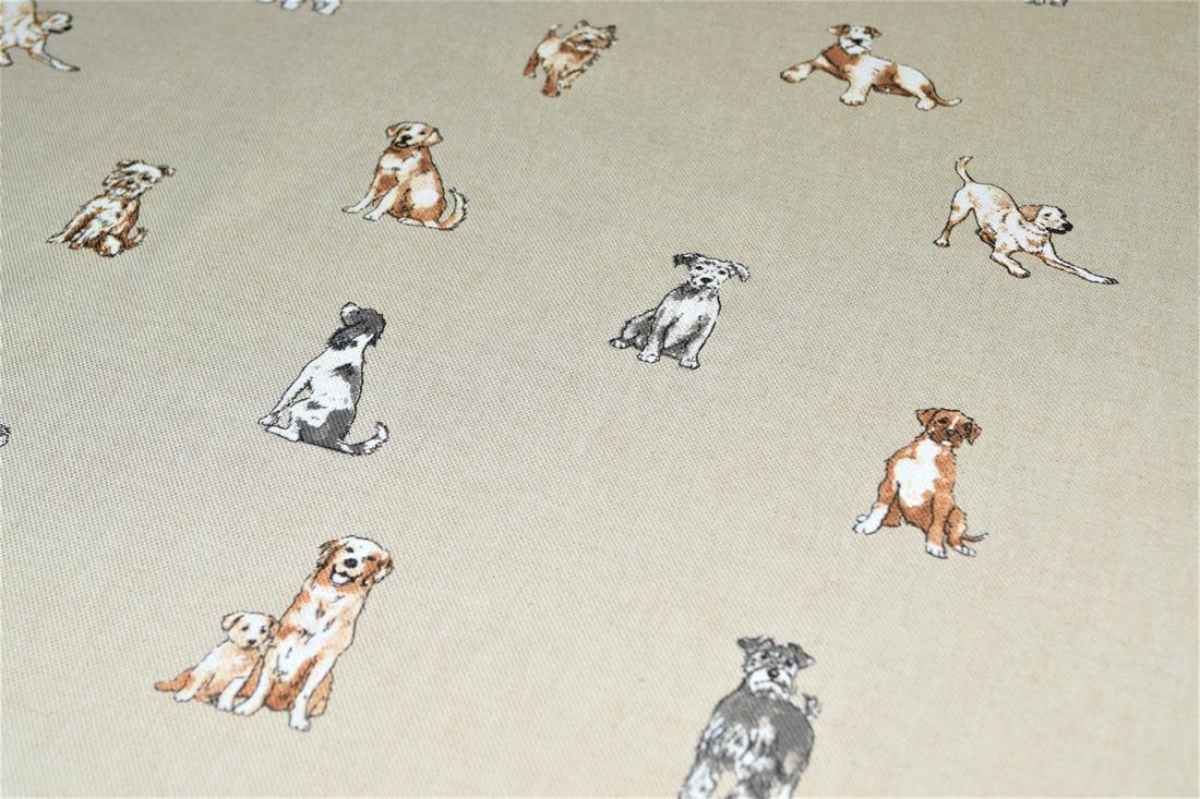 Dogs