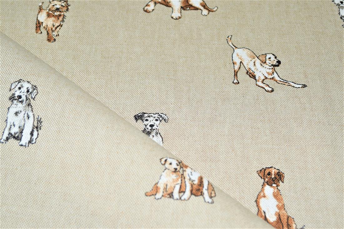 Dogs