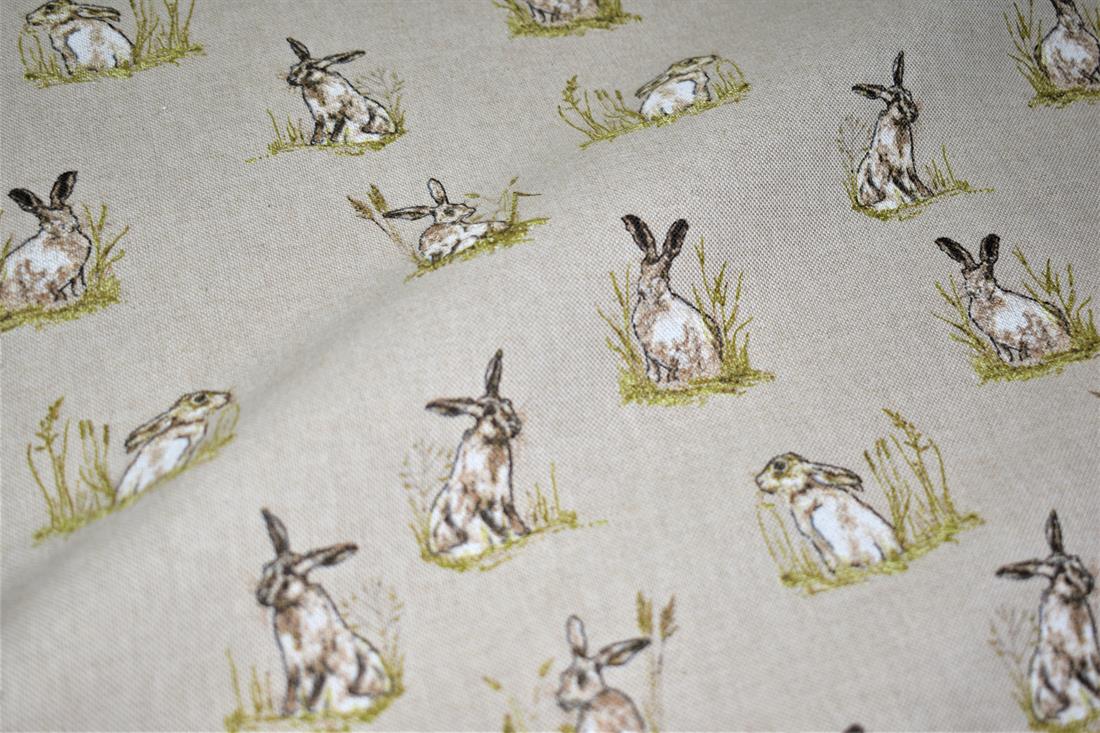 Rabbit - image 2