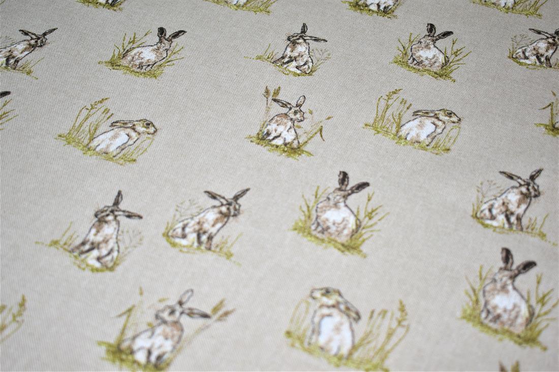 Rabbit - image 5