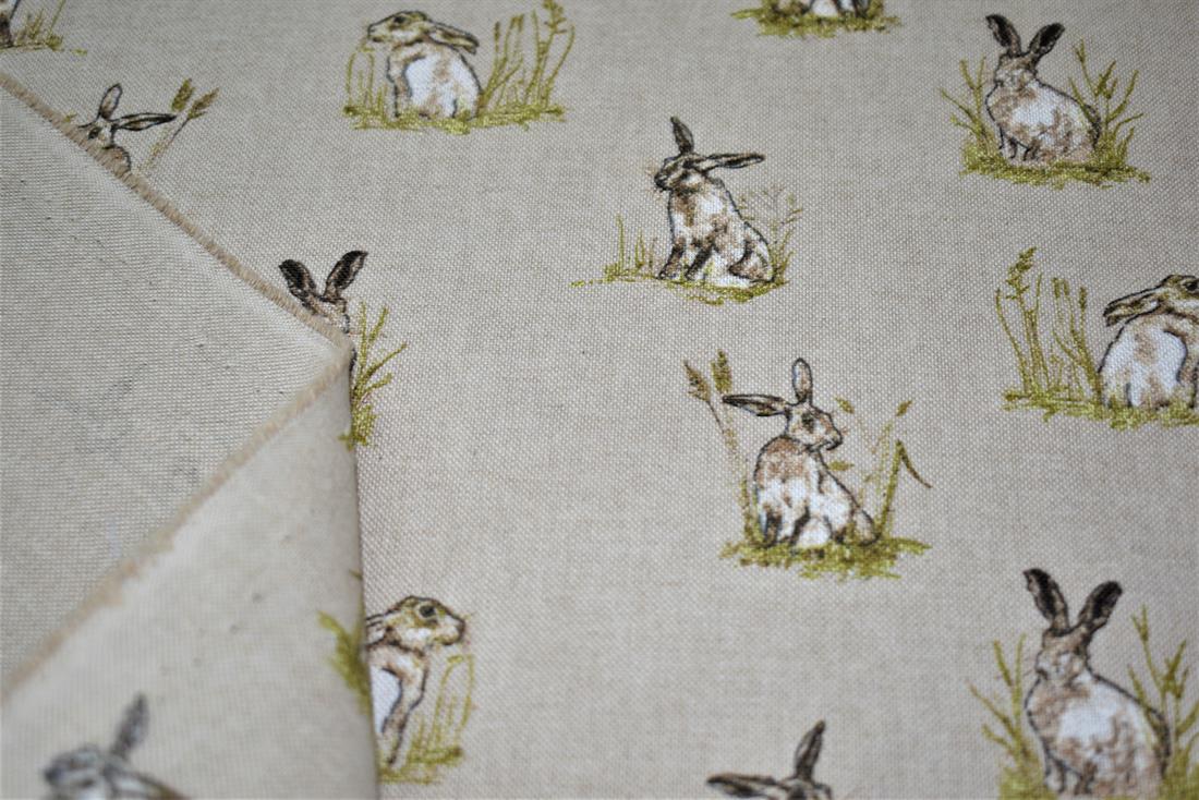 Rabbit - image 6