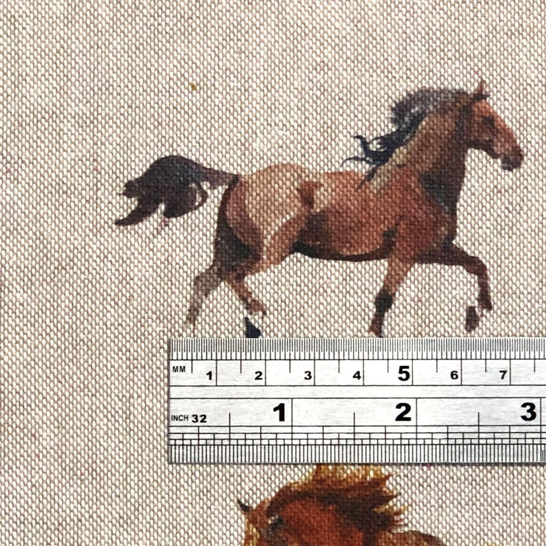 Wild Horses