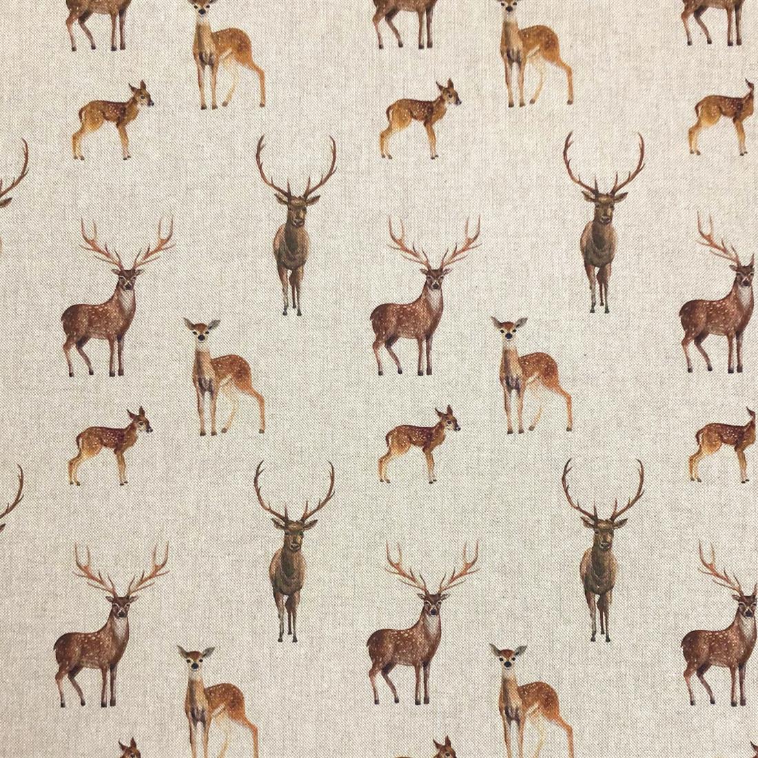 Stags and Deer