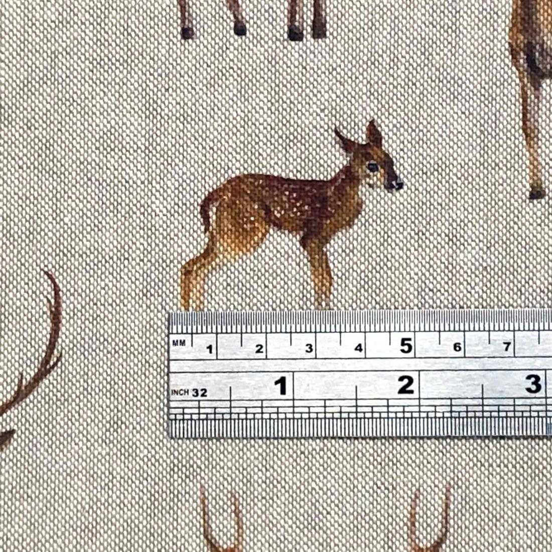Stags and Deer