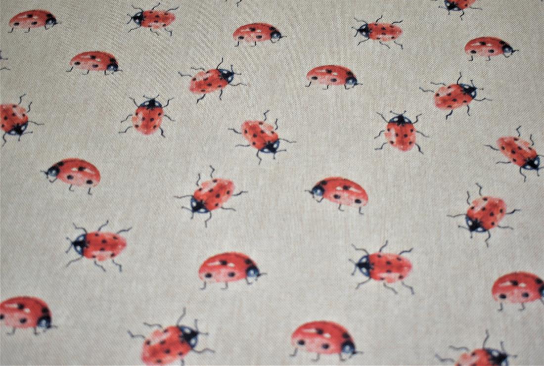 Ladybirds