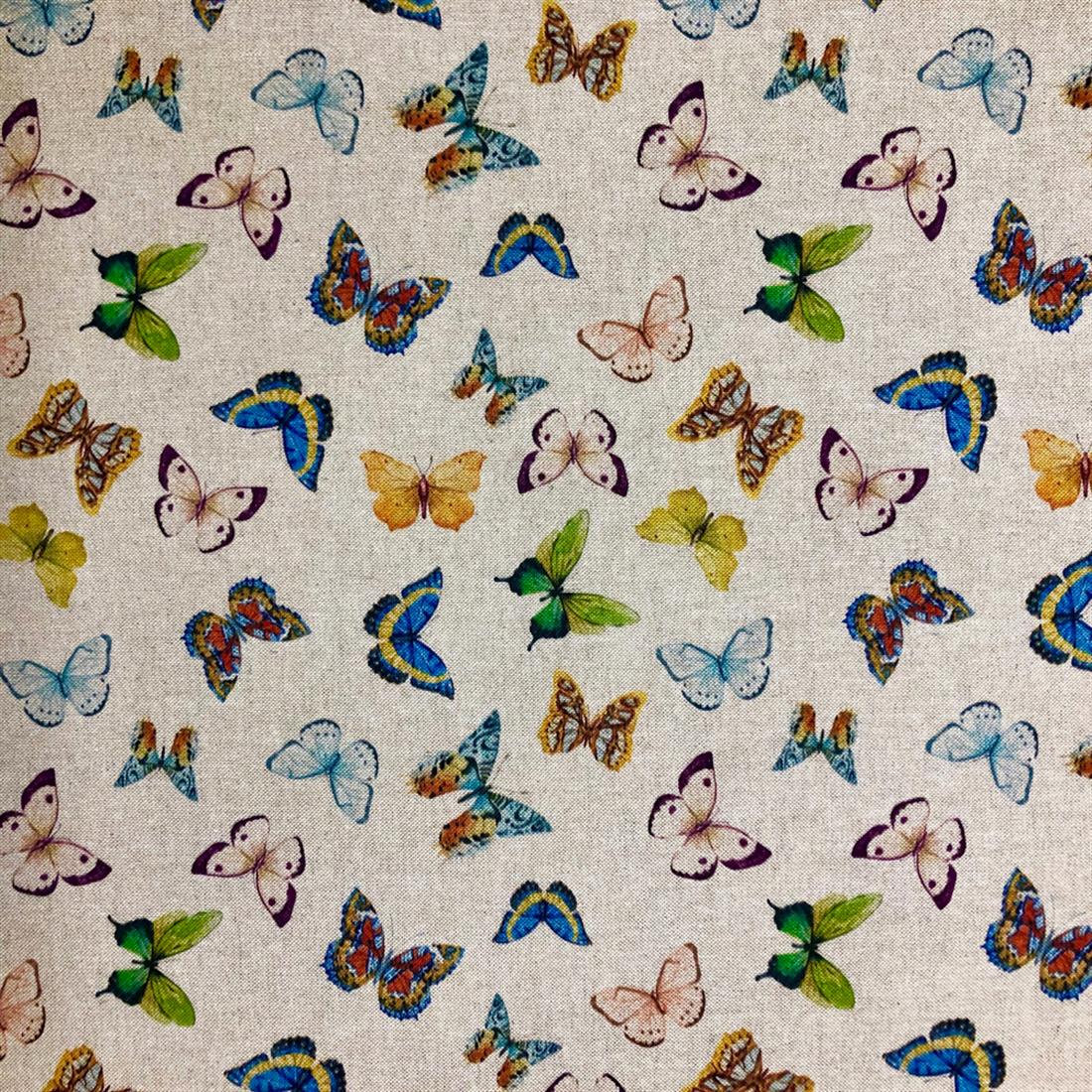Exotic Butterflies