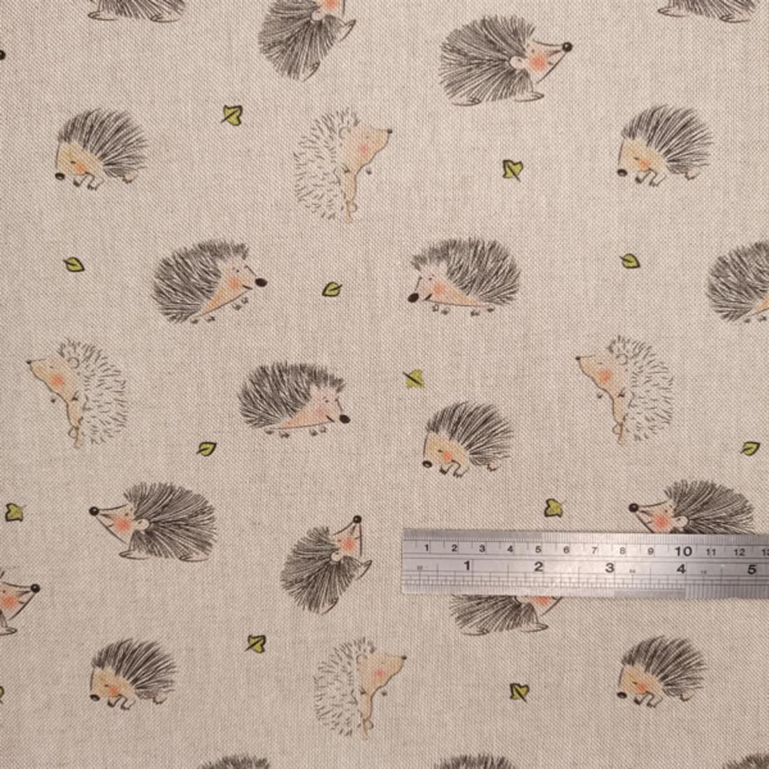 Little Hedgehogs