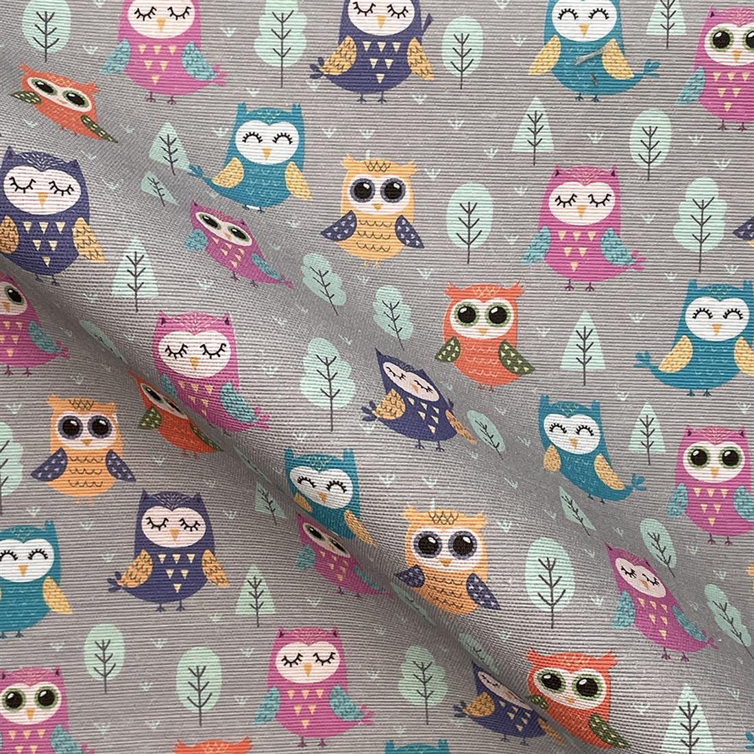 Barn Owls