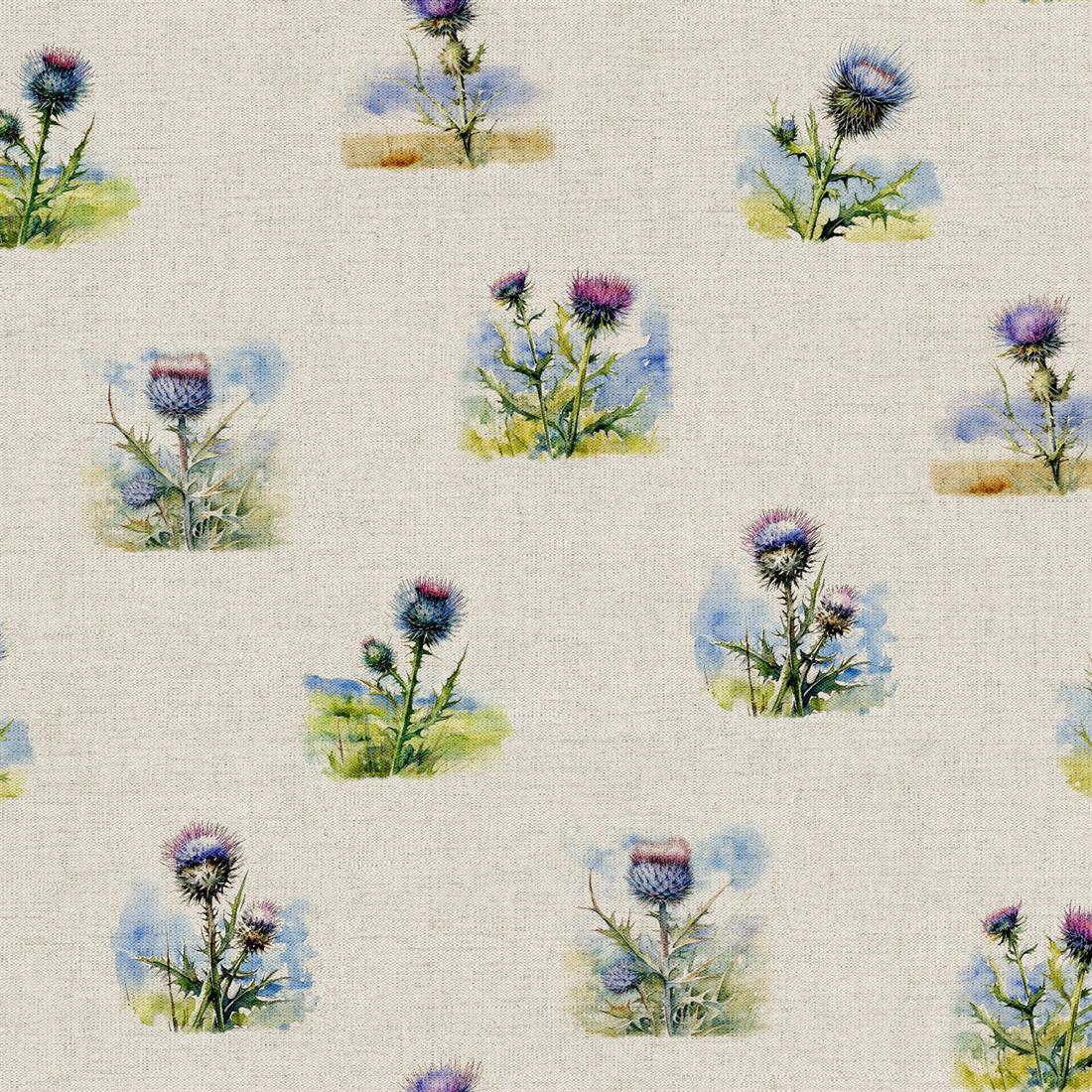 Purple Thistle