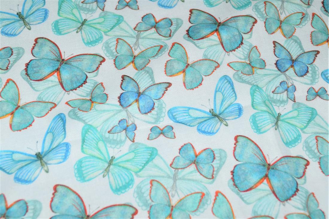 Papillon