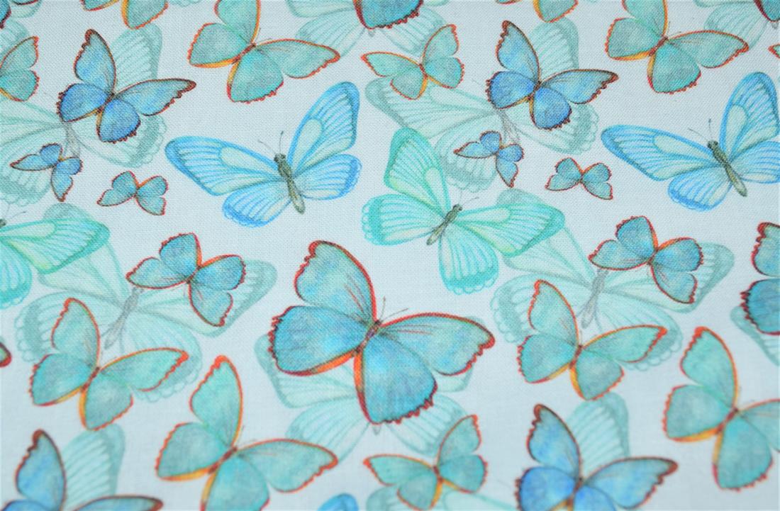 Papillon