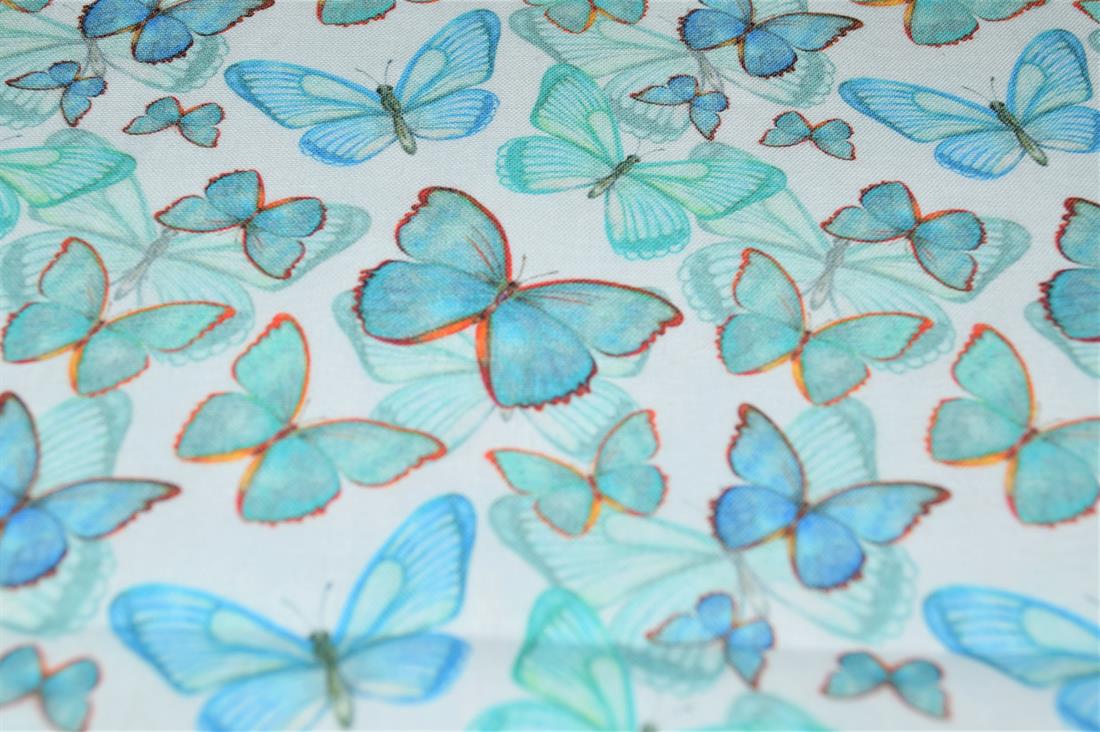 Papillon