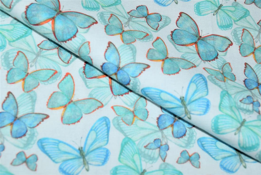 Papillon