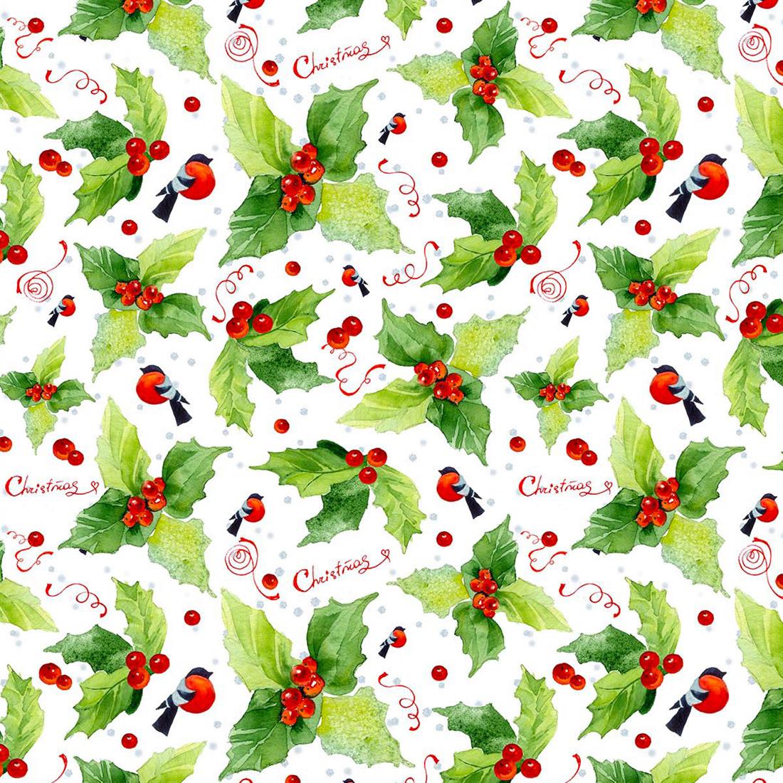 Xmas Bull Finch CC484 - image 1
