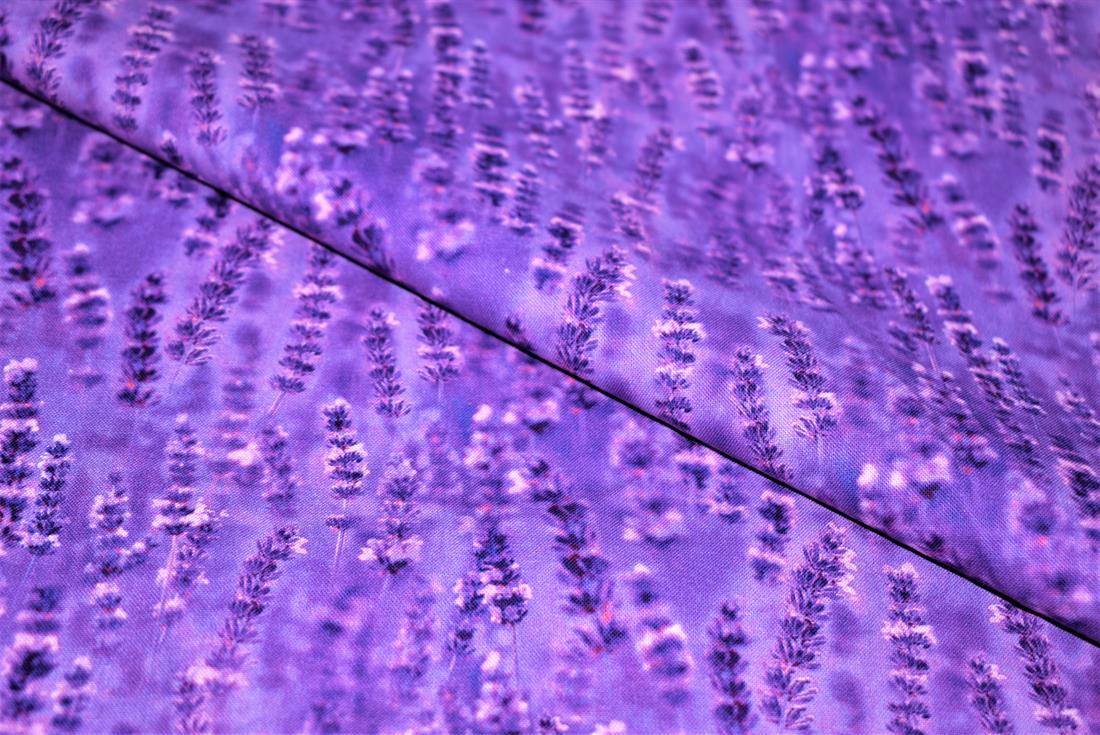 Printed 100% Cotton Fabric - image 1