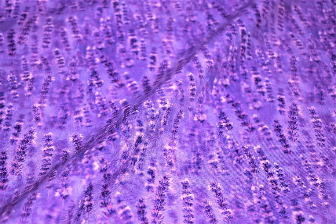 Printed 100% Cotton Fabric - image 2