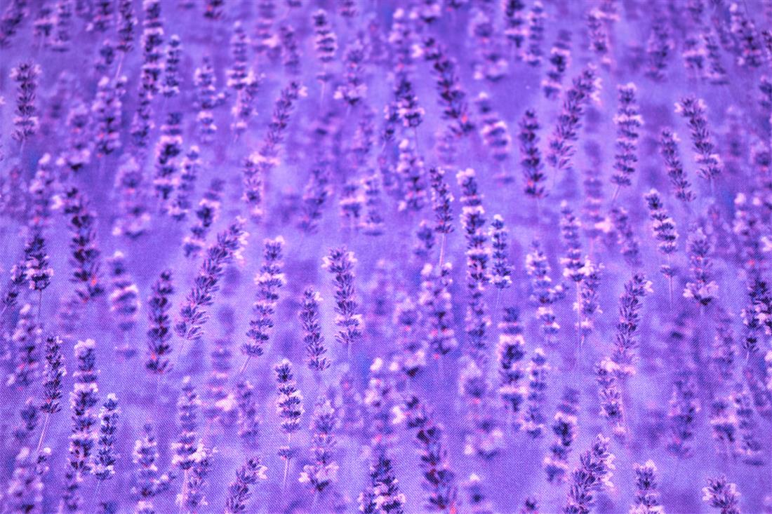 Printed 100% Cotton Fabric - image 4