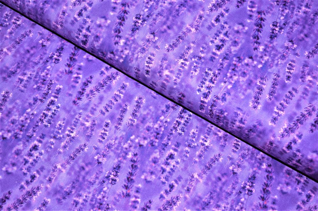 Printed 100% Cotton Fabric - image 5