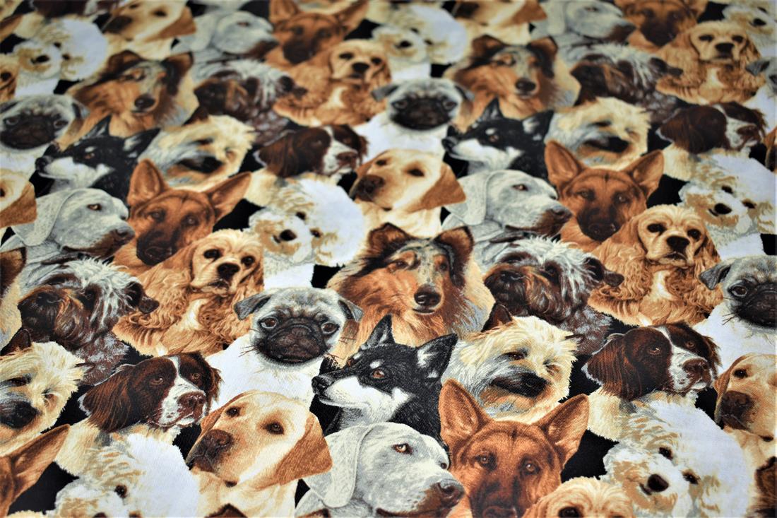 Printed 100% Cotton Fabric - image 5