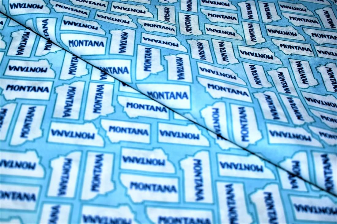 Printed 100% Cotton Fabric - image 1