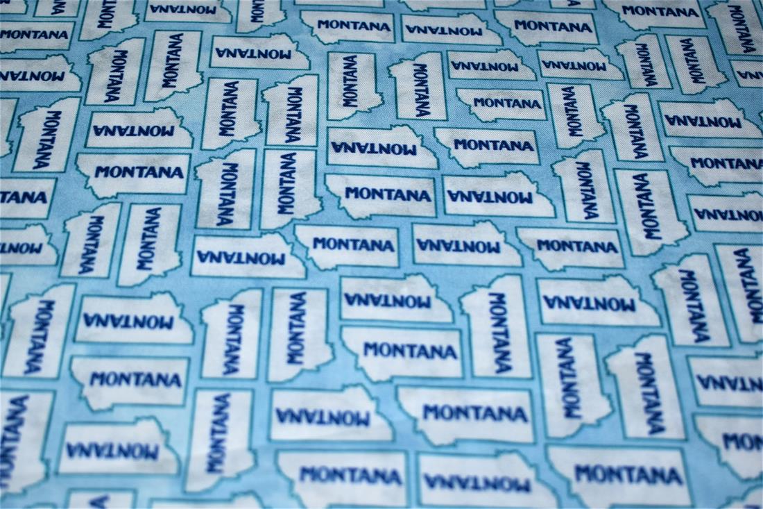 Printed 100% Cotton Fabric - image 4