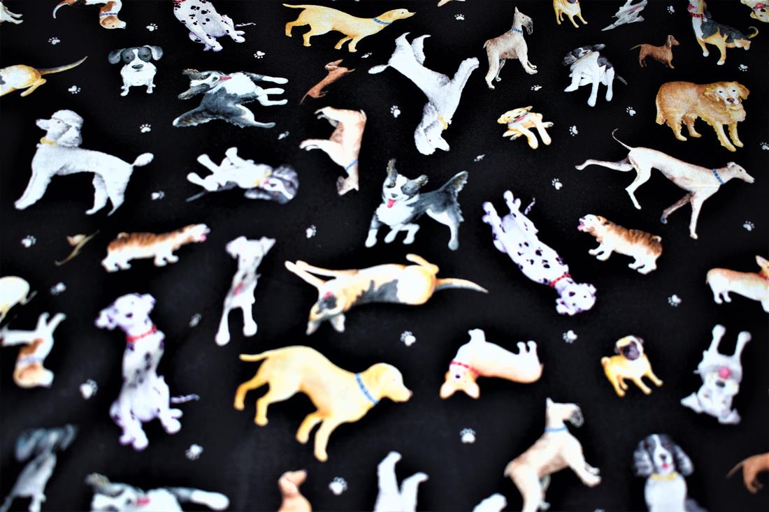 Printed 100% Cotton Fabric