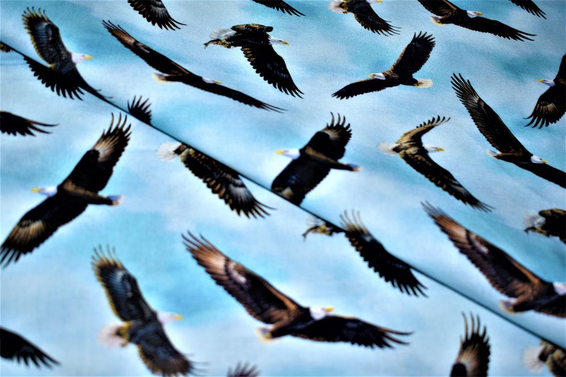 Printed 100% Cotton Fabric - image 1