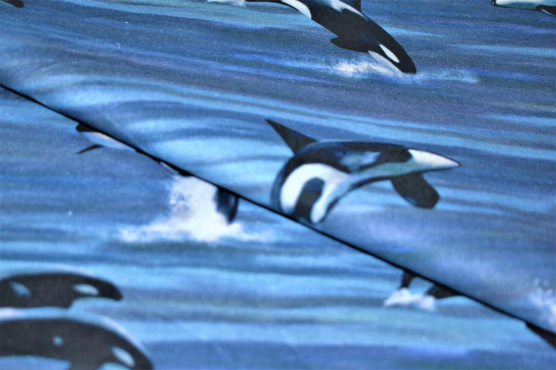 Printed 100% Cotton Fabric - image 1