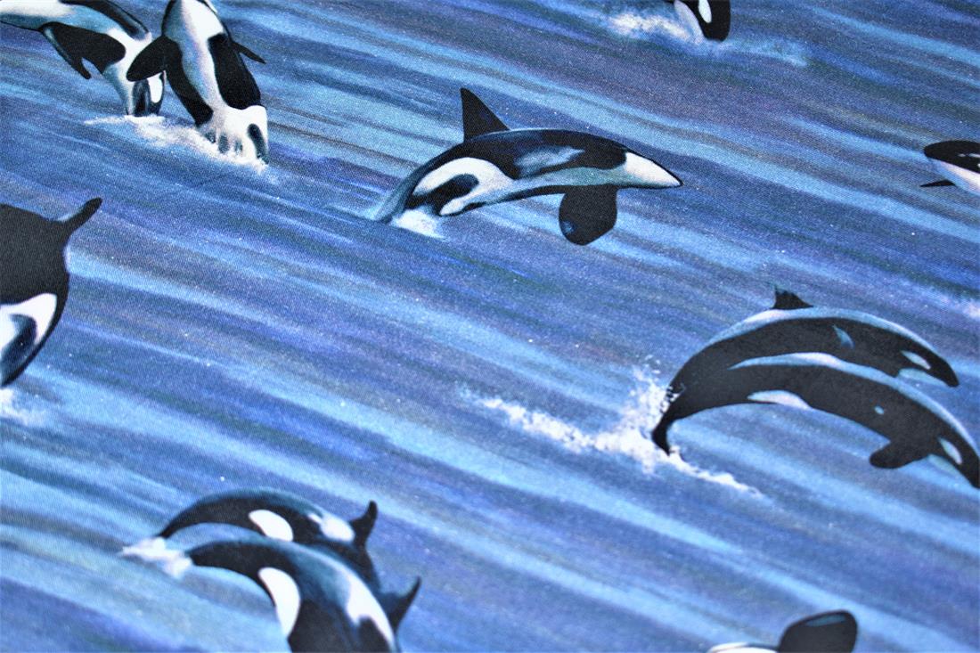 Printed 100% Cotton Fabric - image 4